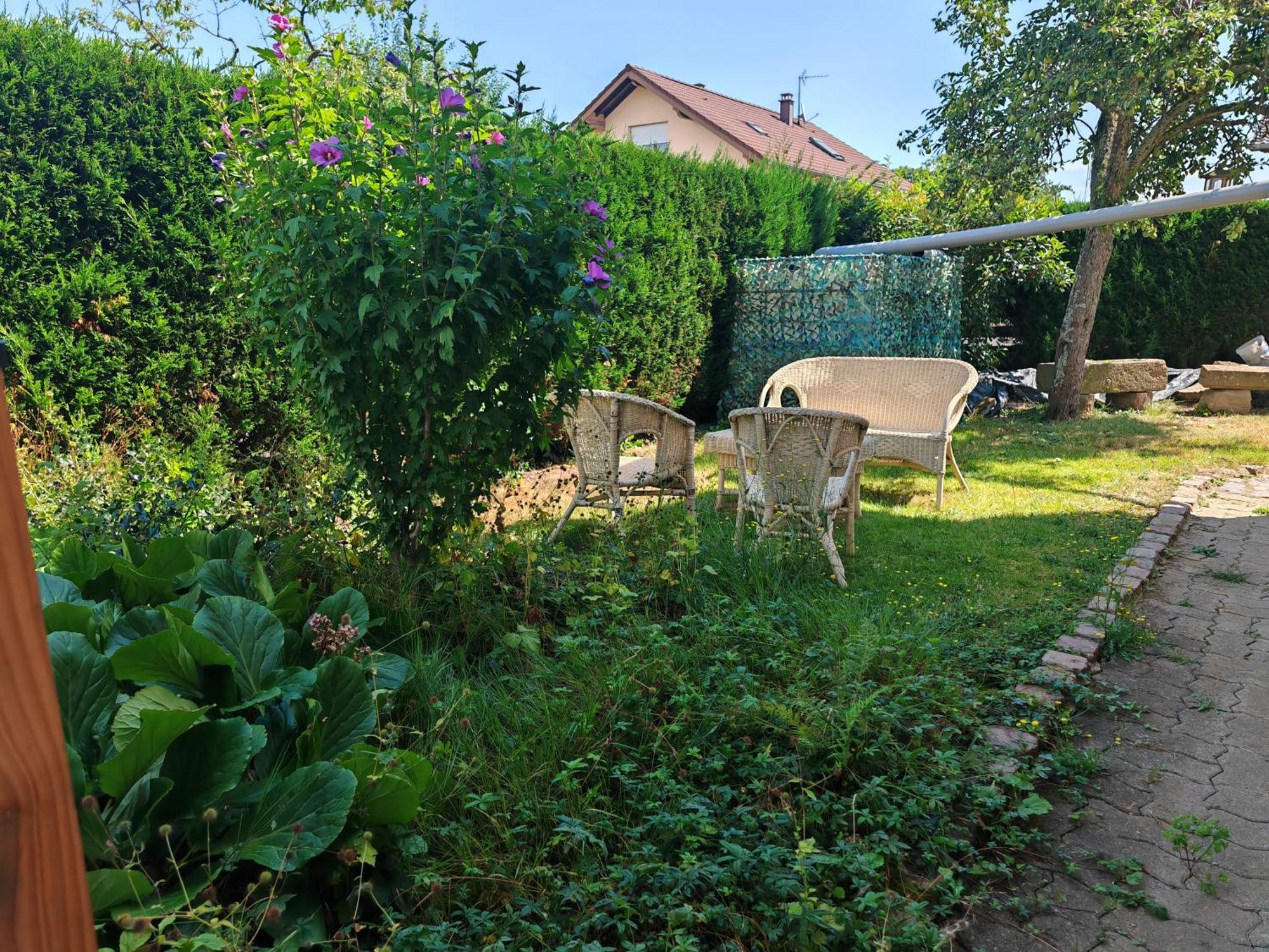 Appartement " Le Chardonneret " Issenheim Exterior foto
